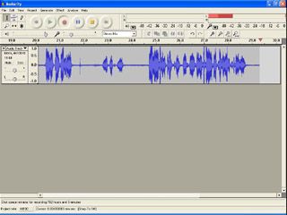 Extracting Audios From DVDs