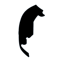 download {{ file.name }}