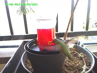 Hummingbird Feeder - EcoFriendly and AutoFilling