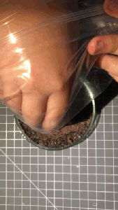 Finding Your Stardust