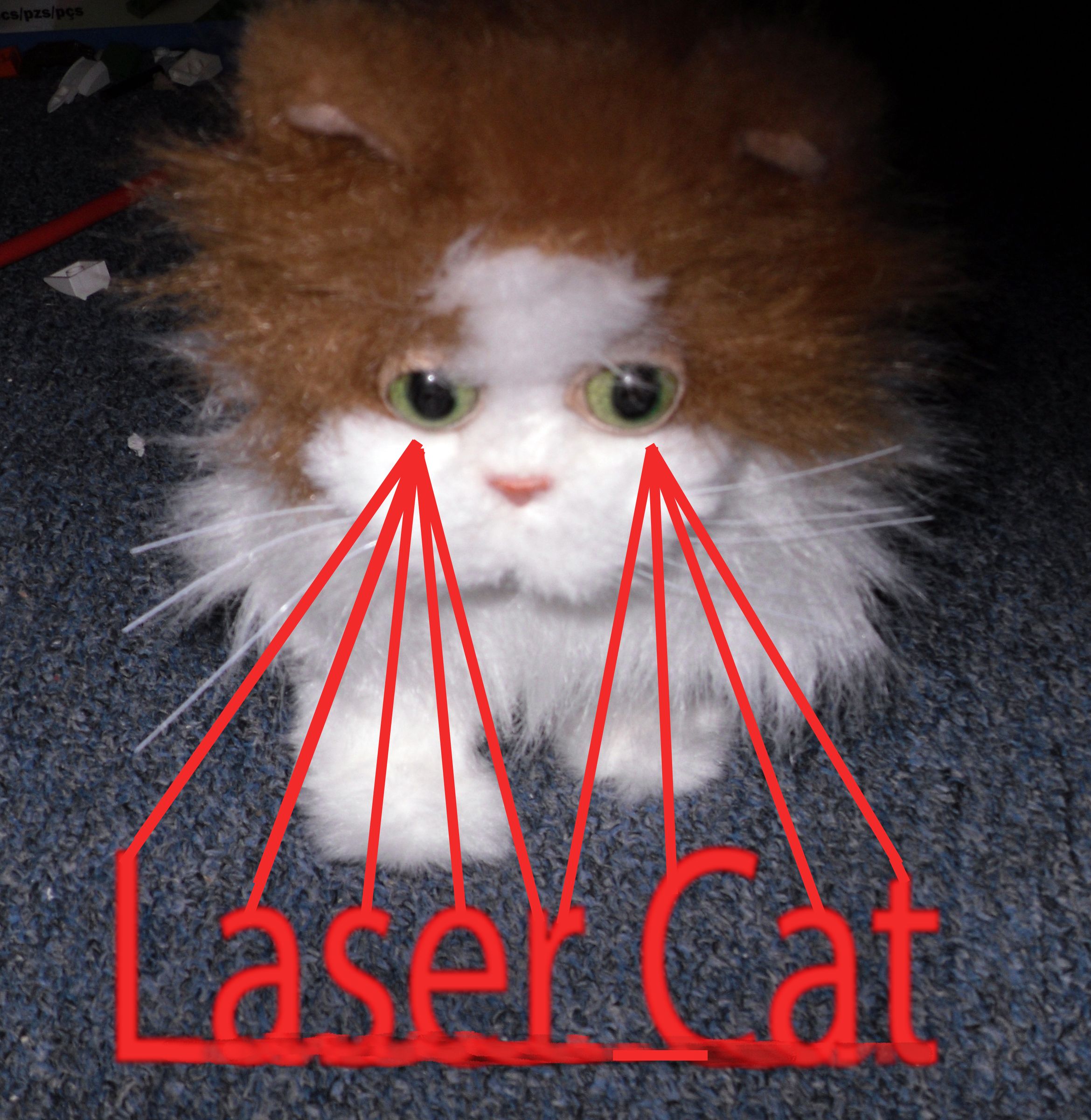 Robotic Laser Cats!