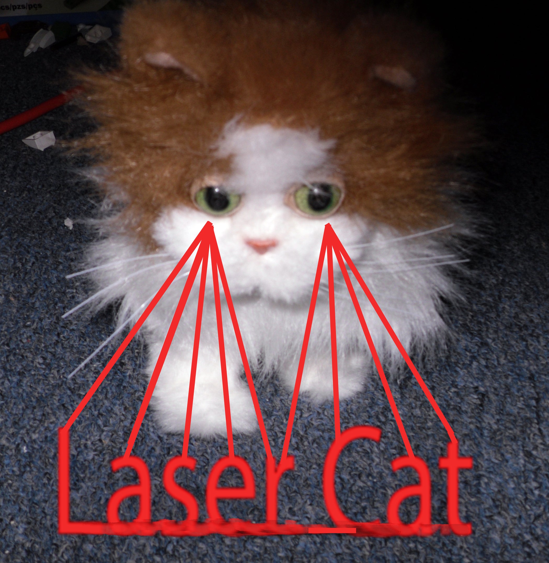 Robotic Laser Cats! 6 Steps (with Pictures) Instructables