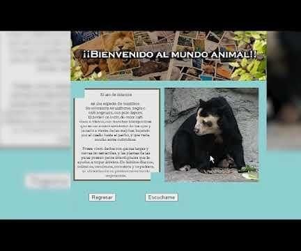 Conociendo Los Animales