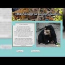 Conociendo Los Animales