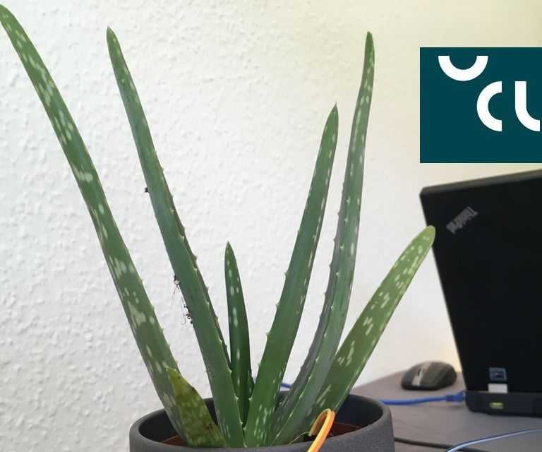 UCL - IIot - Smartplant