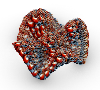 Shell-Inspired 3D Printed Sculpture