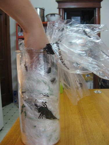 End Ziplock Tyranny, Recycle Produce Bags!