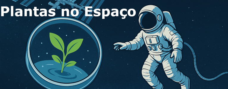 MicroGravity - Simulador De Um Ambiente De Microgravidade