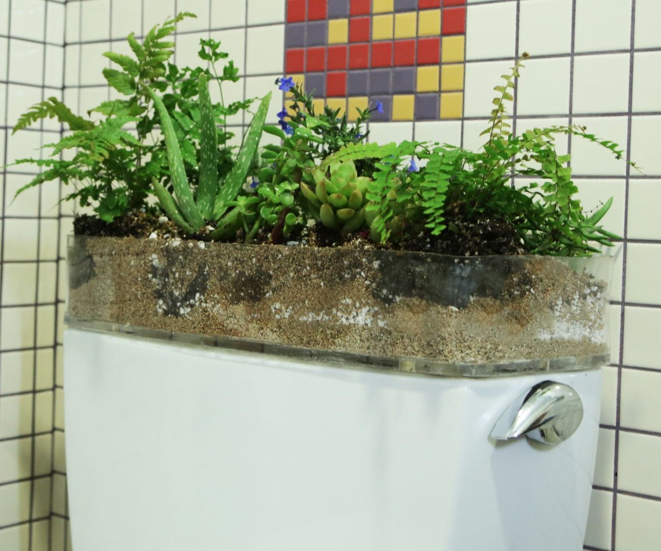 Toilet Garden 12 Steps (with Pictures) Instructables