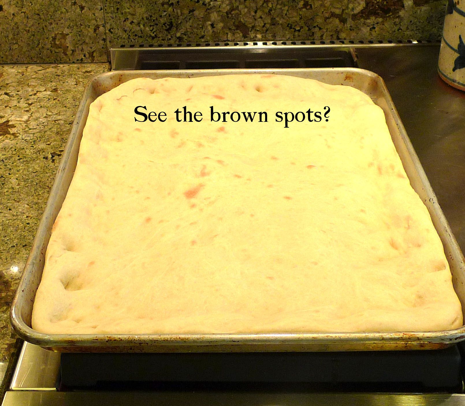 Microwave Pizza Dough & NoCook Tomato Sauce 17 Steps (with Pictures) Instructables
