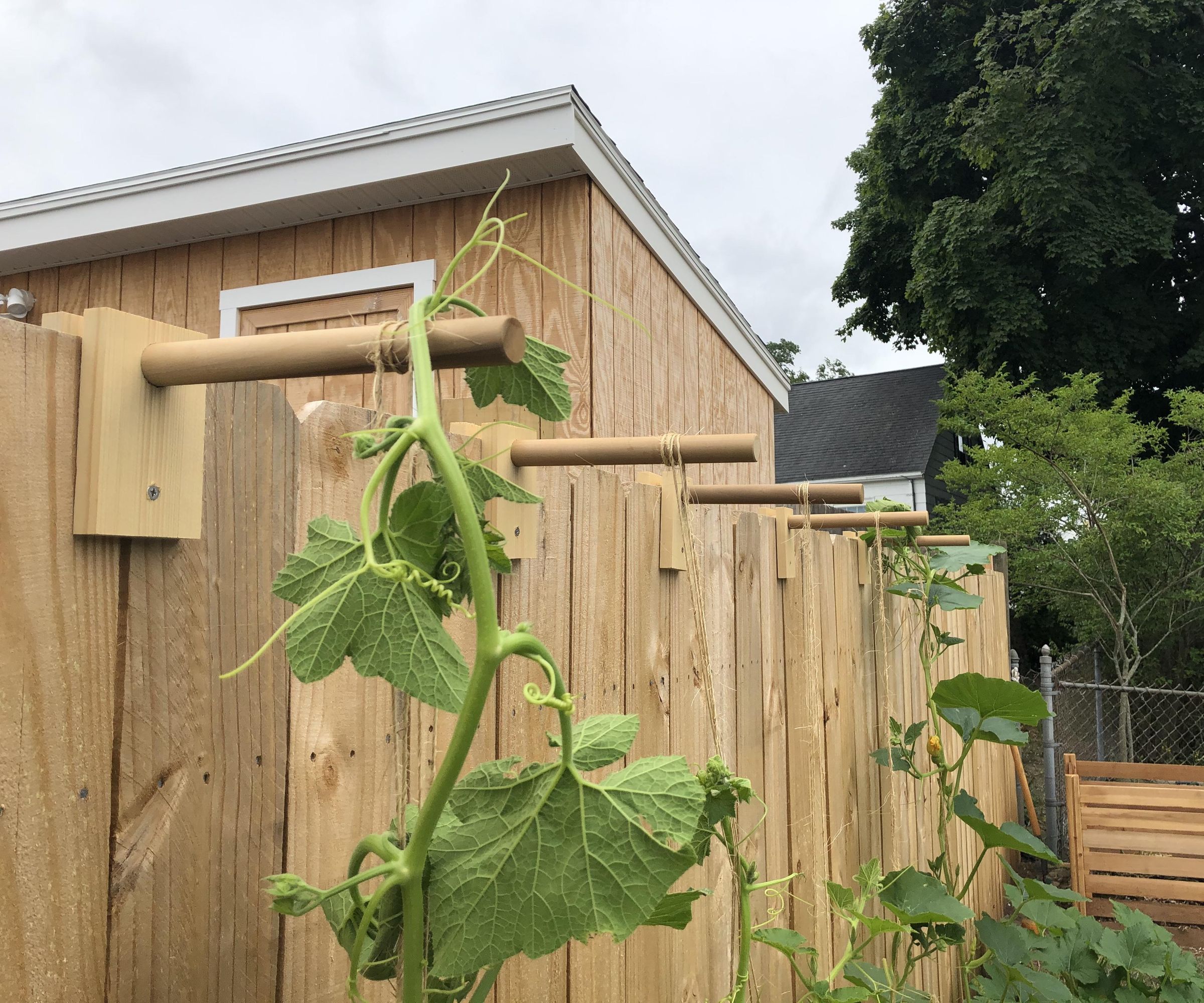 Fence Trellis Brackets