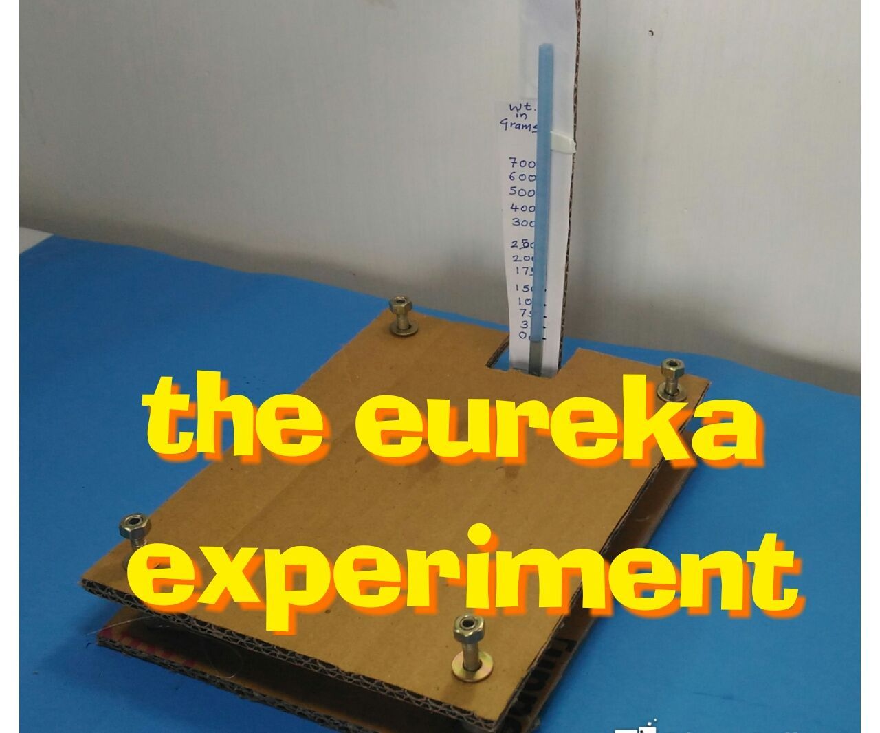 DIY Jr. Archimedes Weigh Scale 