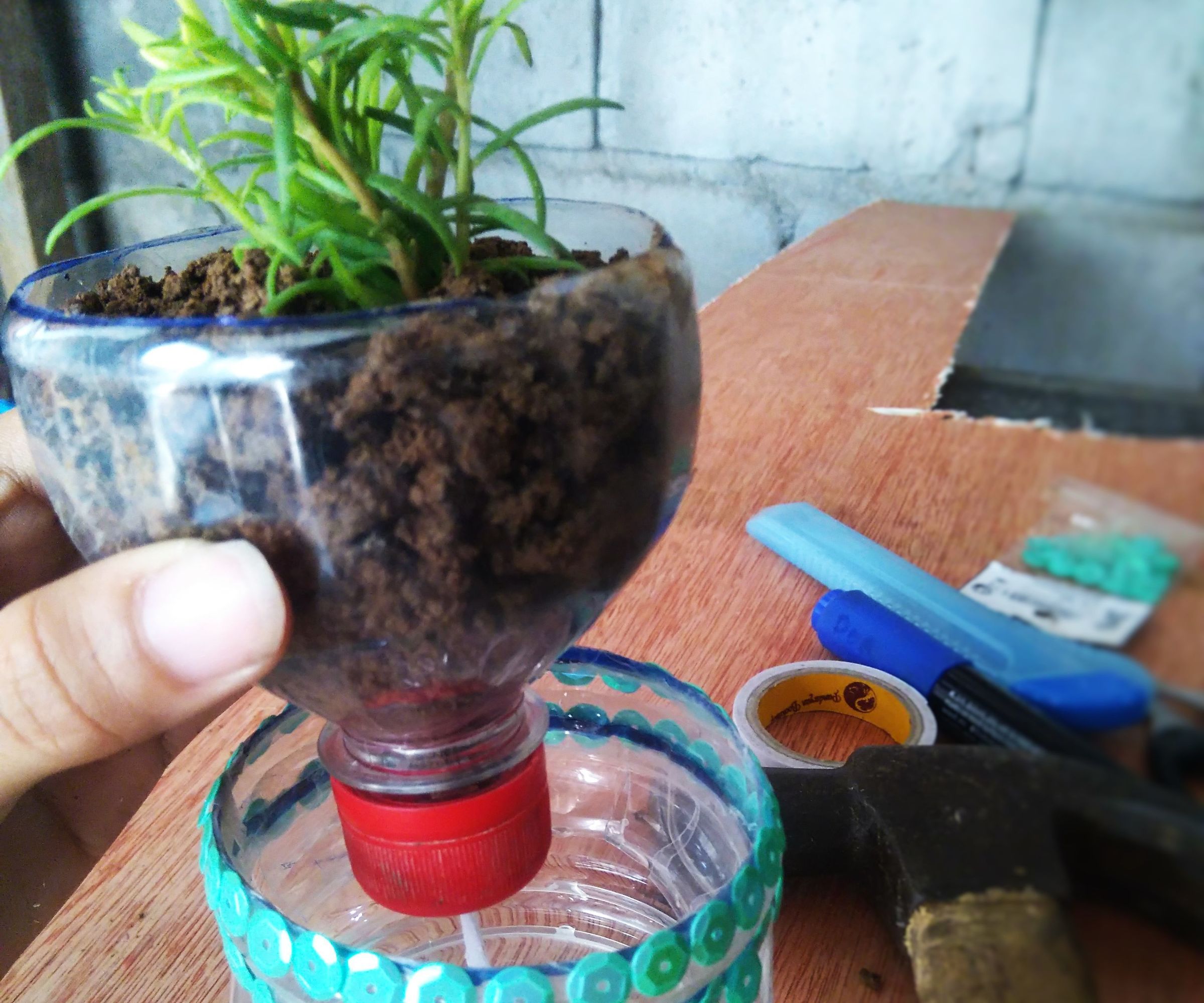 Upcycled Plastic Bottle Into Self Watering Planter!!!