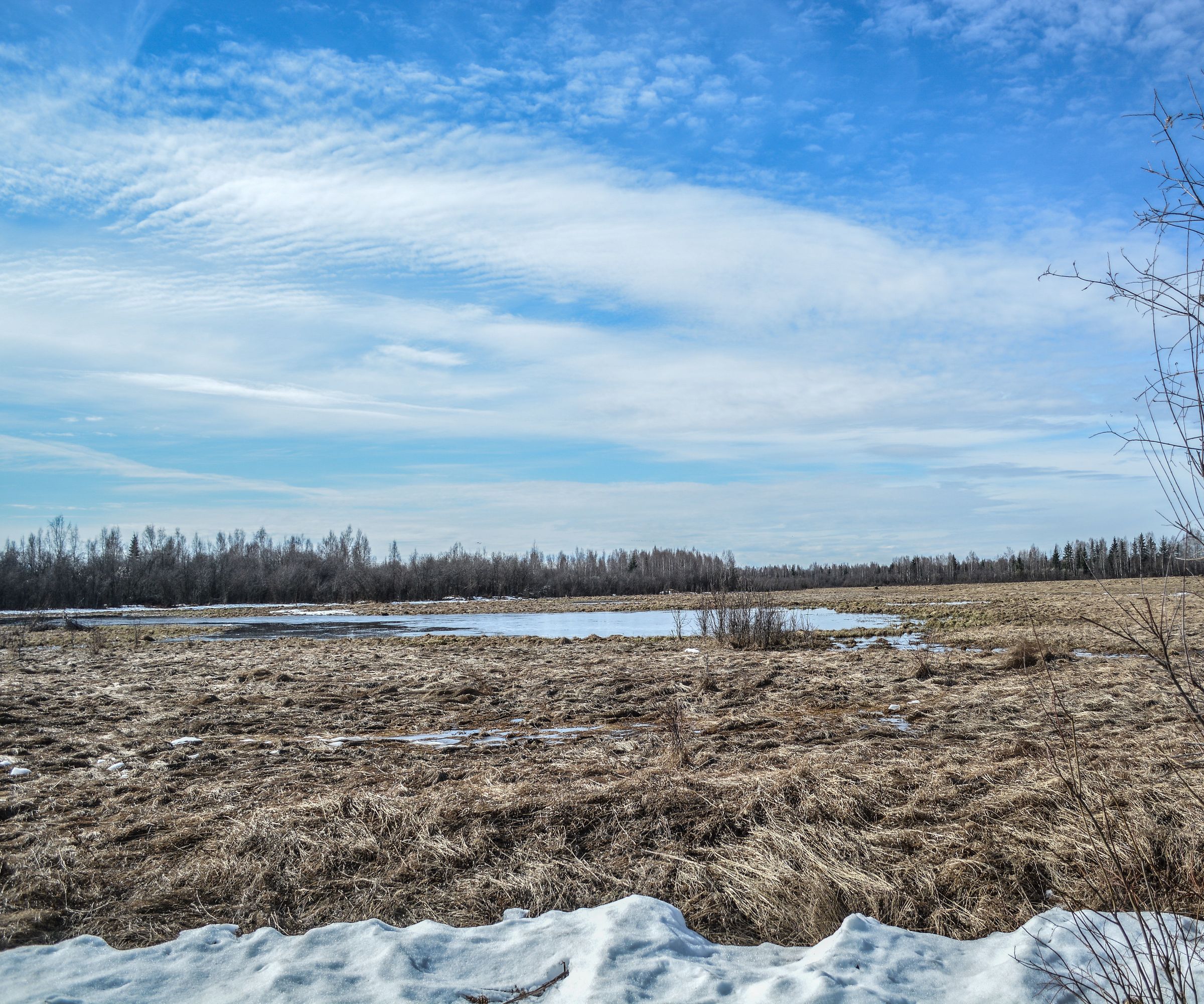 How to Build an Advanced Lean-To