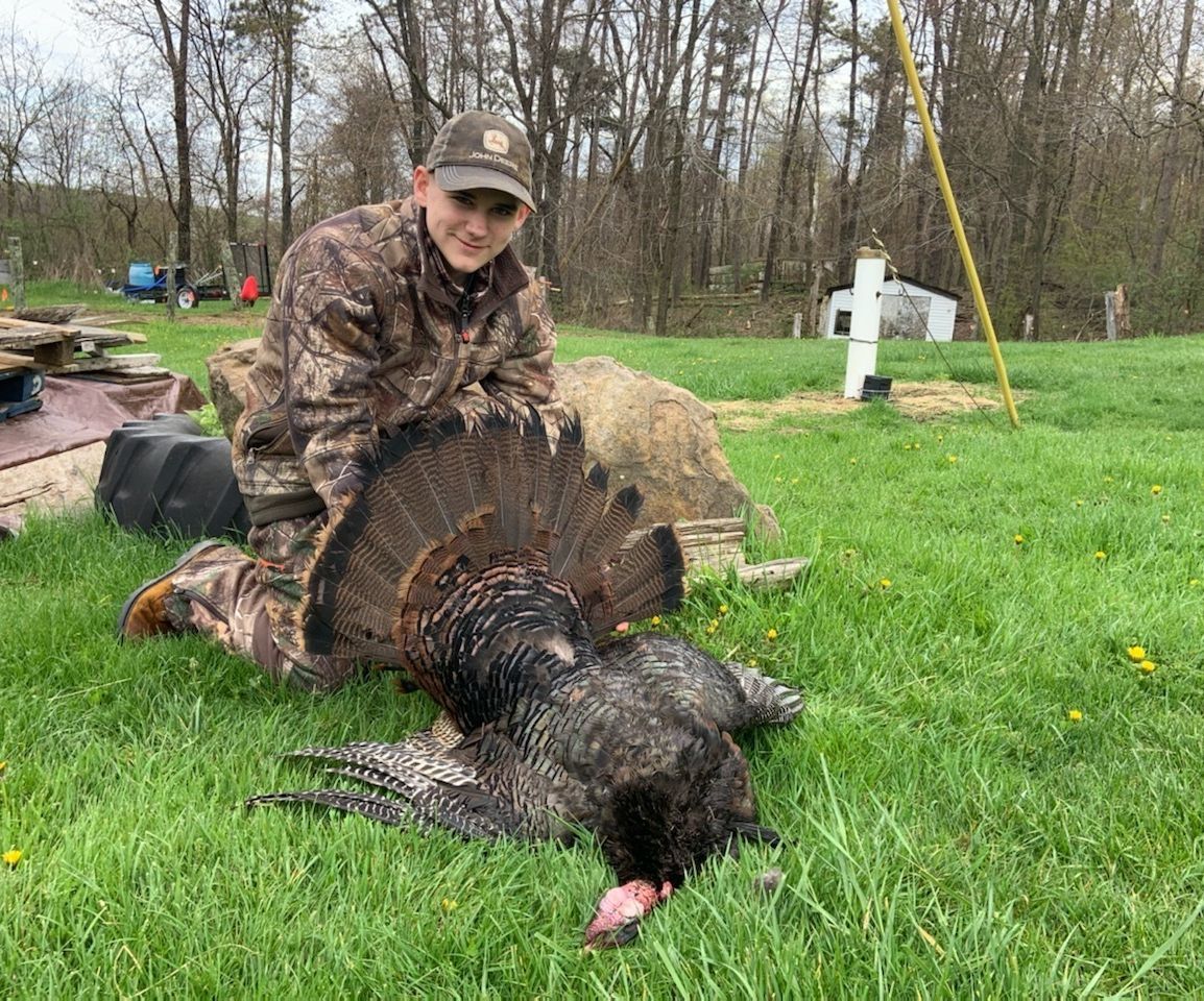 My Turkey Mount