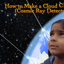How to make a Cloud Chamber (Cosmic Ray Detector)