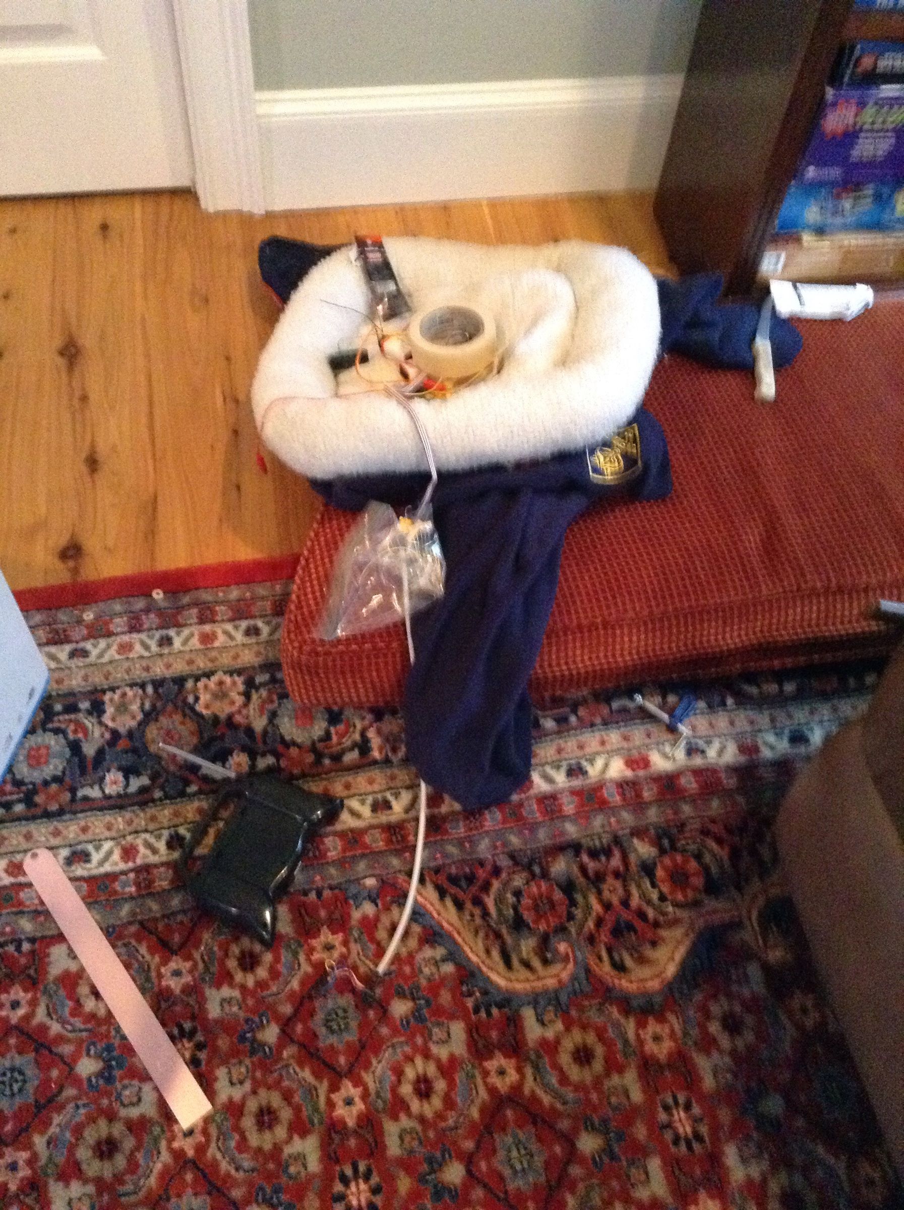 LED Dog Bed