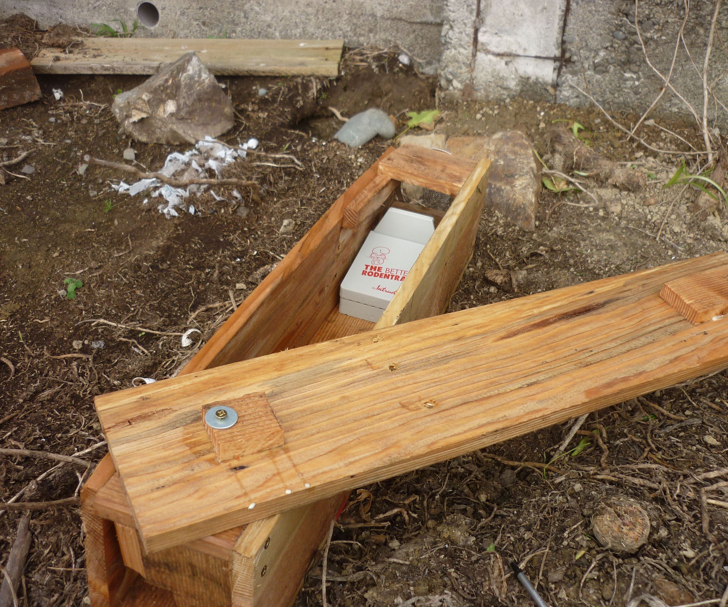 Wildlife-Friendly Rat Trap