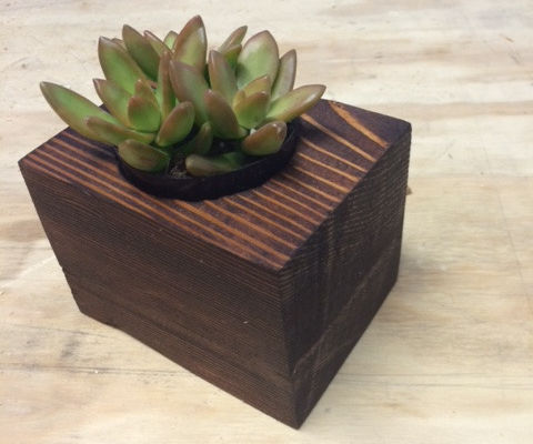 Small Wooden Planter Box