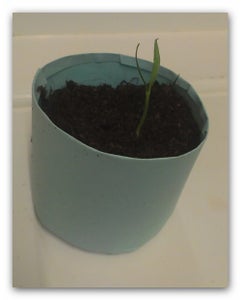 Recycling Paper to Make Seed Pots
