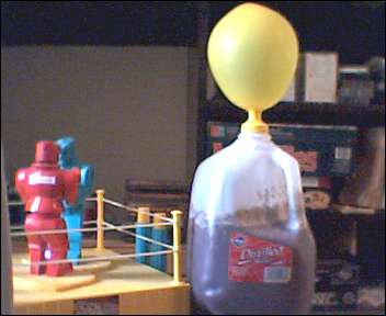 Simple Wine Making (Huckleberries)