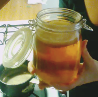 Make Your Own Kombucha at Home