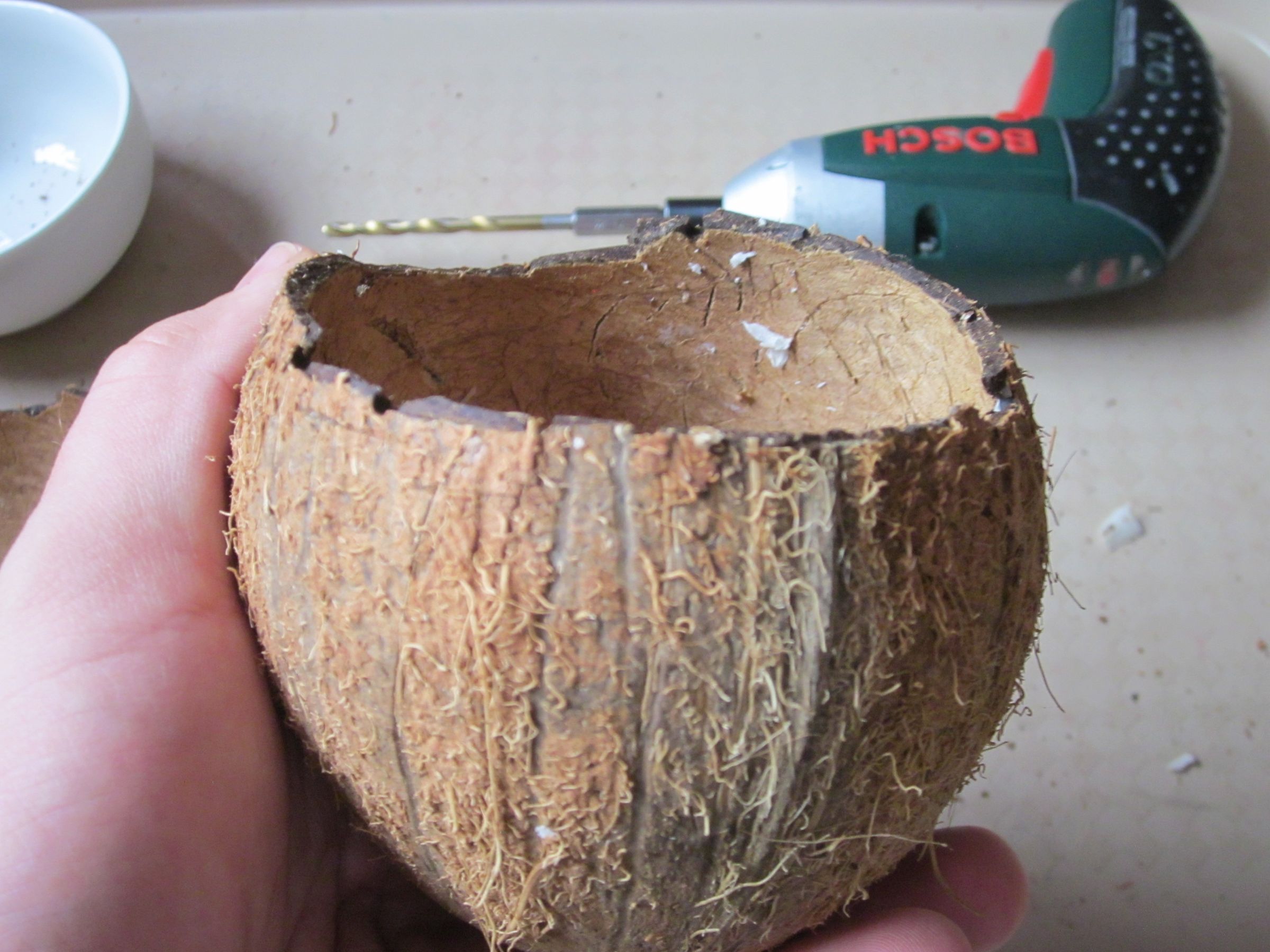 Coconut Planter 8 Steps (with Pictures) Instructables