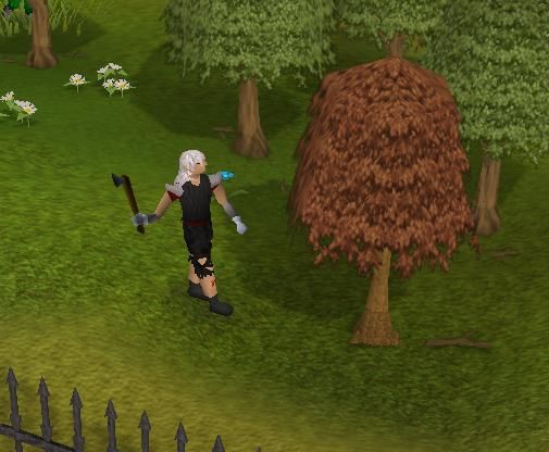 RS Woodcutting Guide