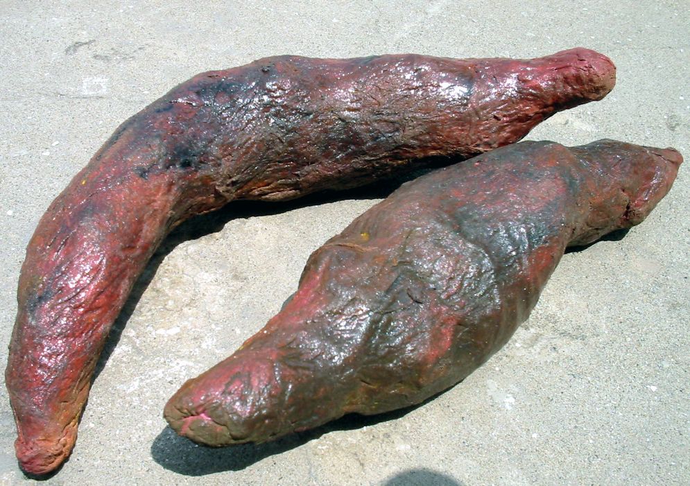 How to Make a Fake Shit (Prank)