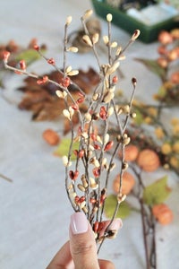 Start Adding Slender Berries and Branches First