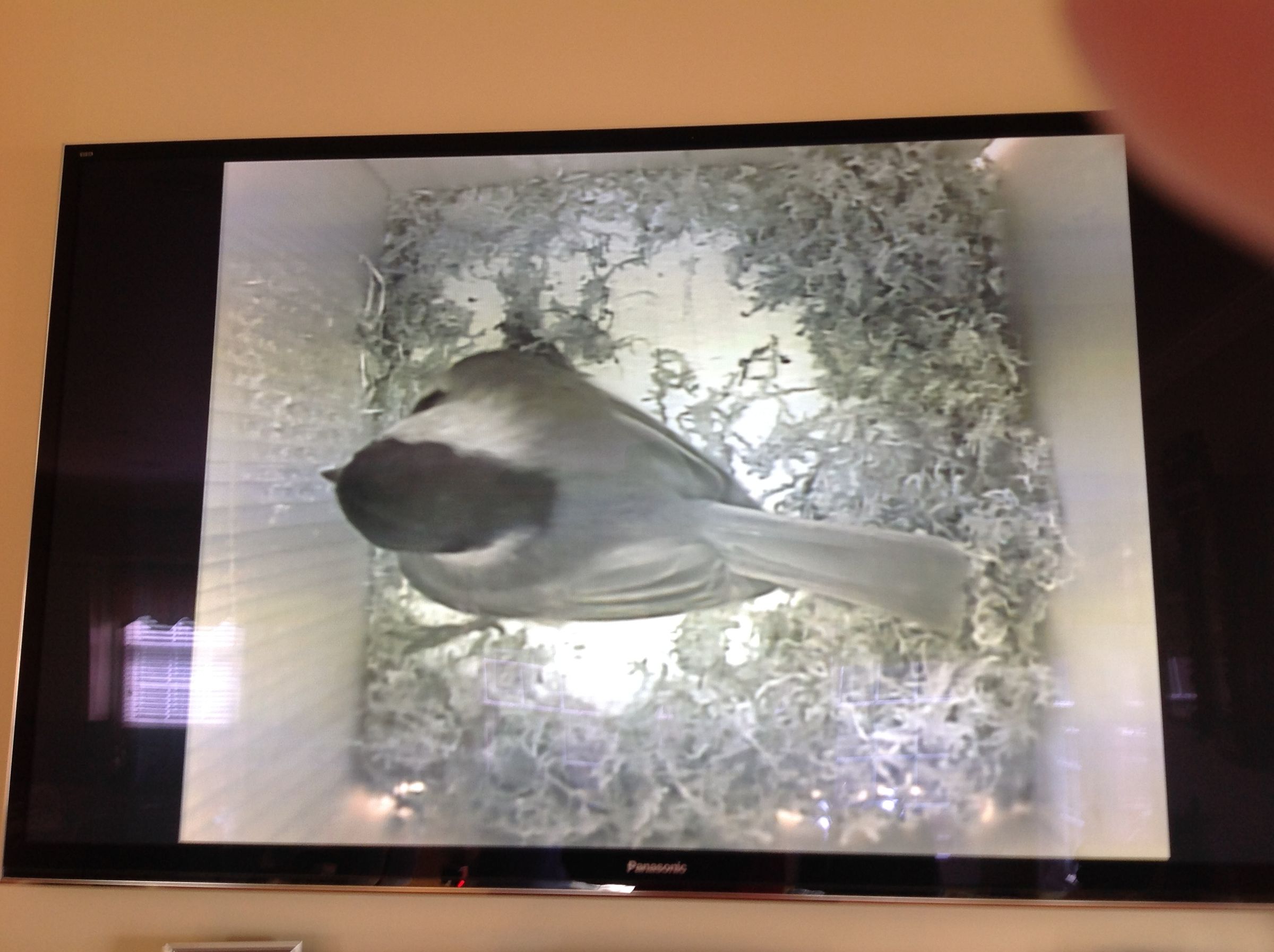 Installing an Infrared Spy Camera Inside a Birdhouse 9 Steps