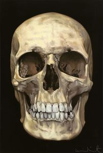 How to Make the Person Half a Skull