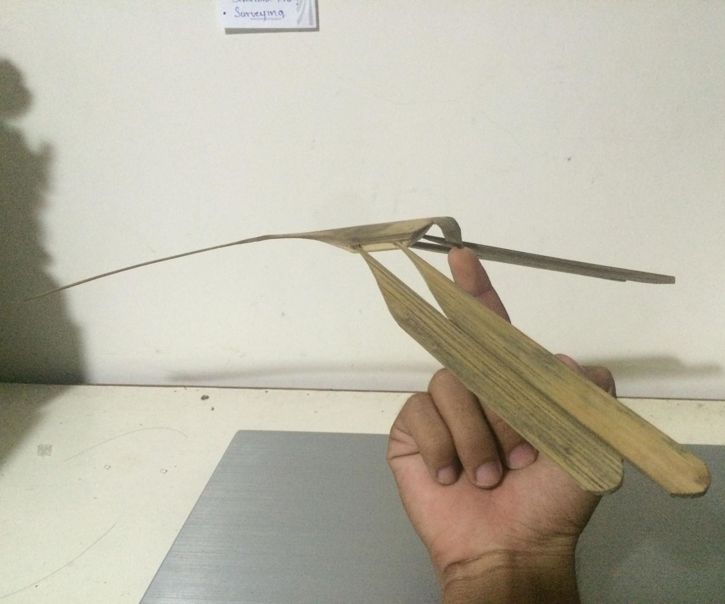 Bamboo Dragonfly