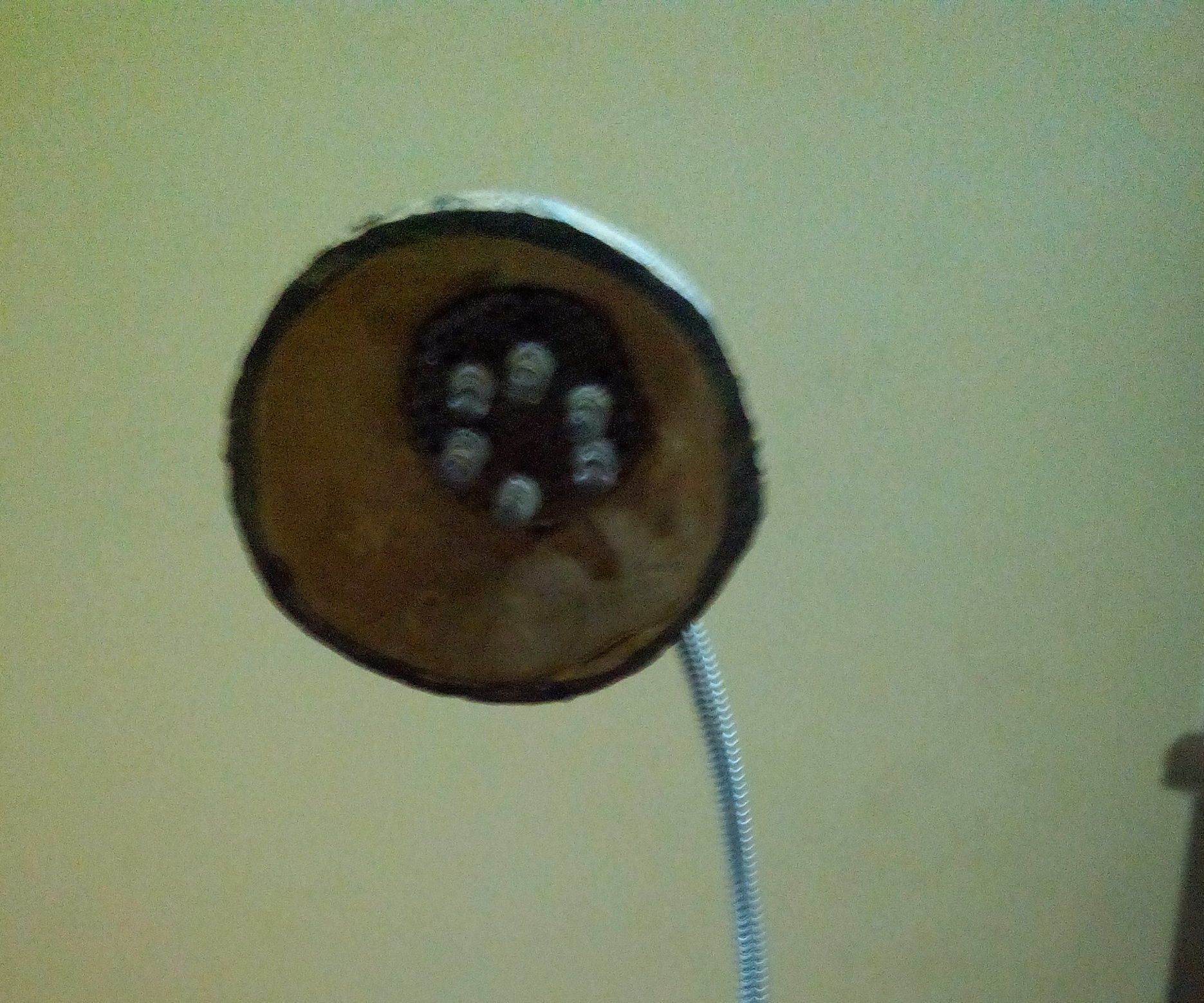 COCONUT SHELL LAMP