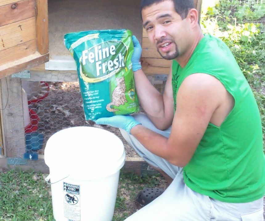 Making Saw Dust Bedding for Your Chickens Using Kitty Litter