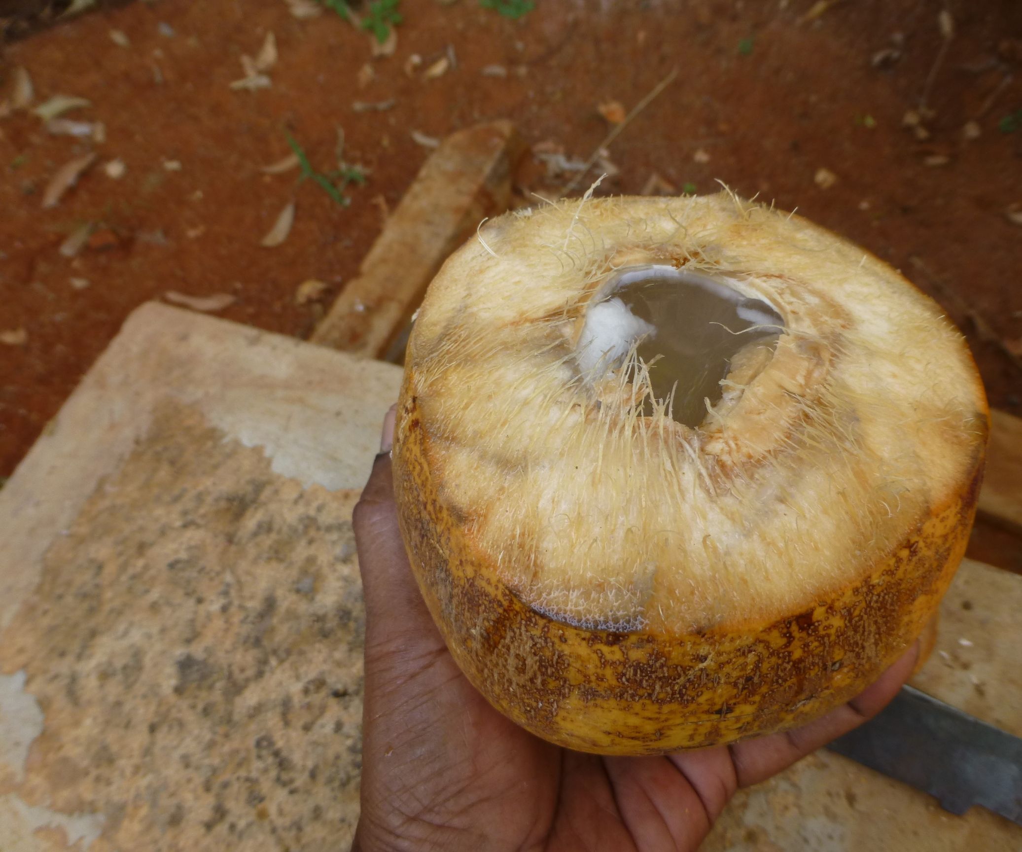 How to Cut Open a Tender Coconut