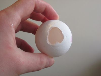 Prepping the Egg Shells