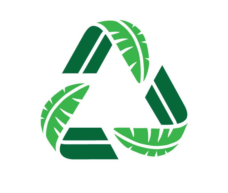 Green Banana Paper