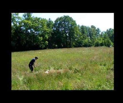 Water Rocket Airplane