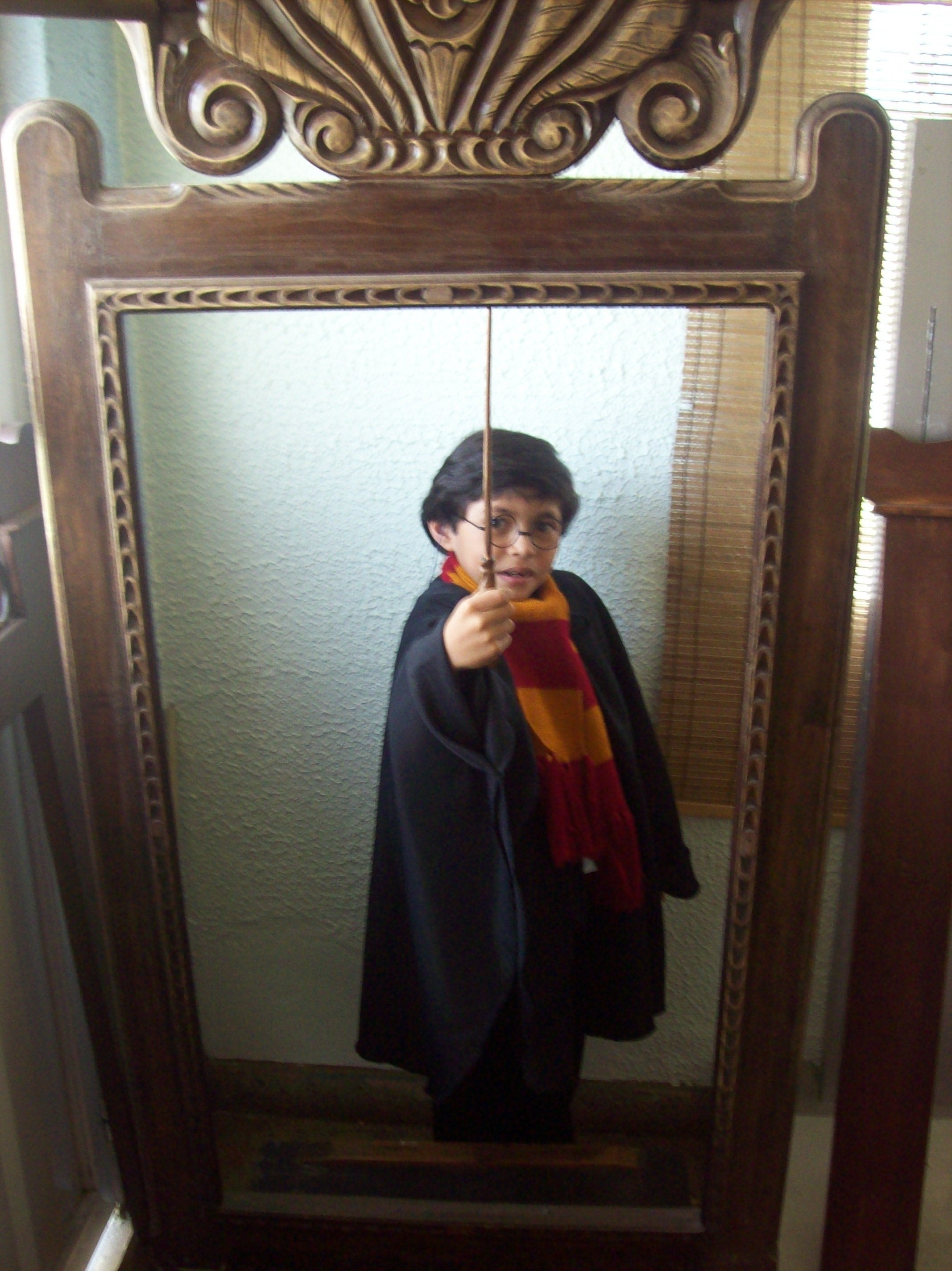 Harry.Potter Wire Glasses