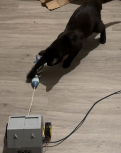 Automatic Cat Toy 2025