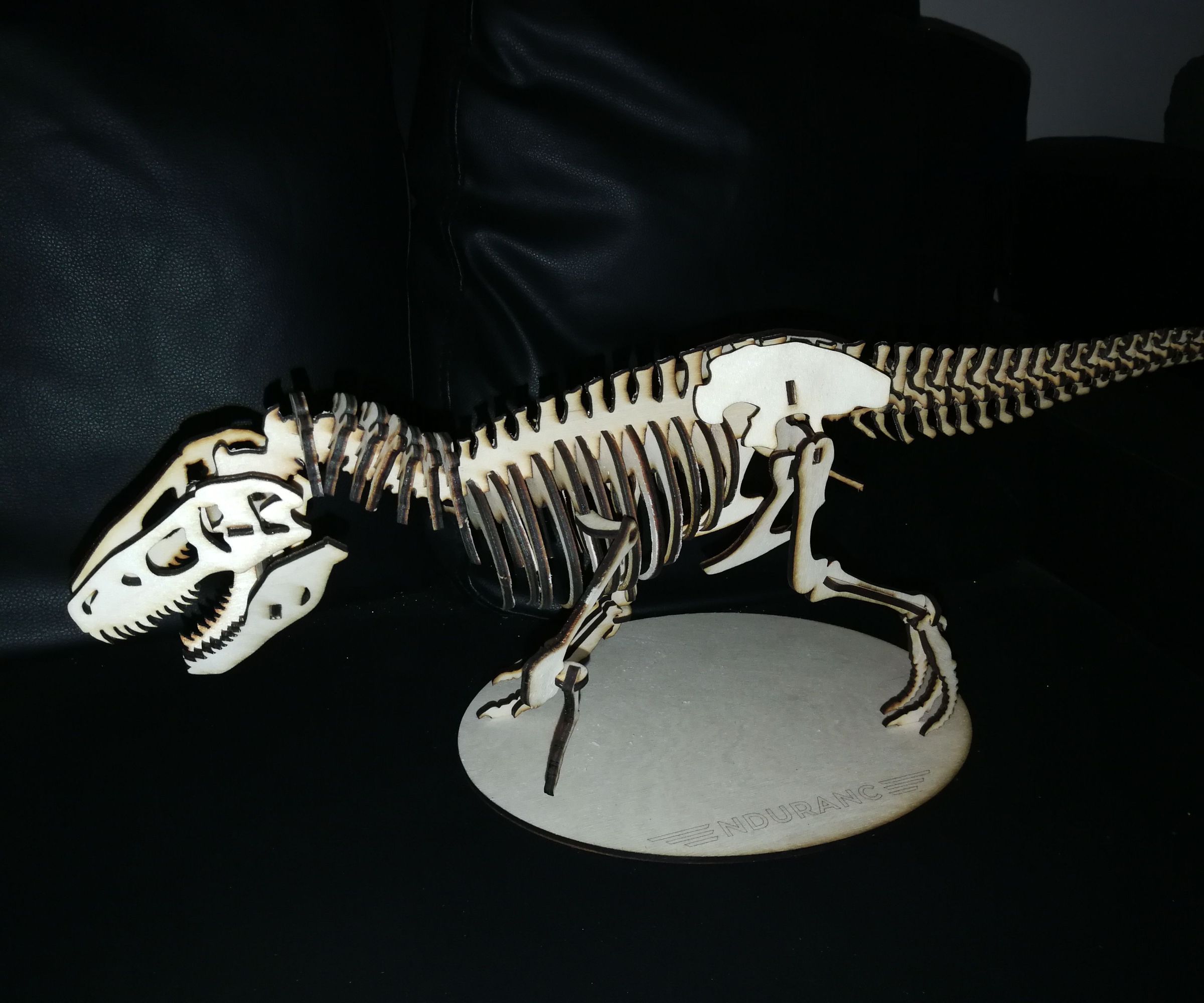 T-REX Using 3.5 Watt L-Cheapo Laser 