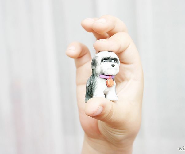 Preplanning – All About Buying a Miniature Pet 