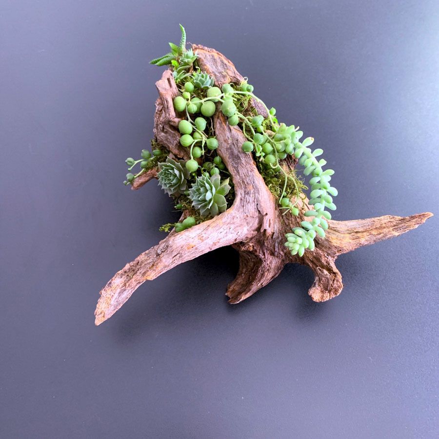 Cedar Driftwood Planter : 8 Steps (with Pictures) - Instructables