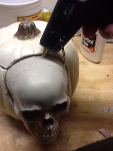 The Skull and Body