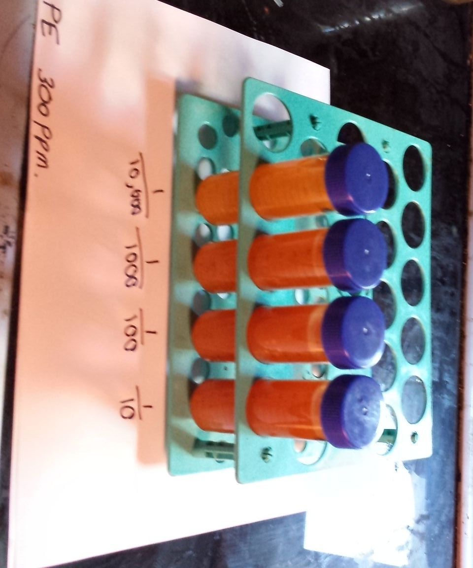 Dragondroff Reagent Detection of Alkaloids by Serial Dilution.