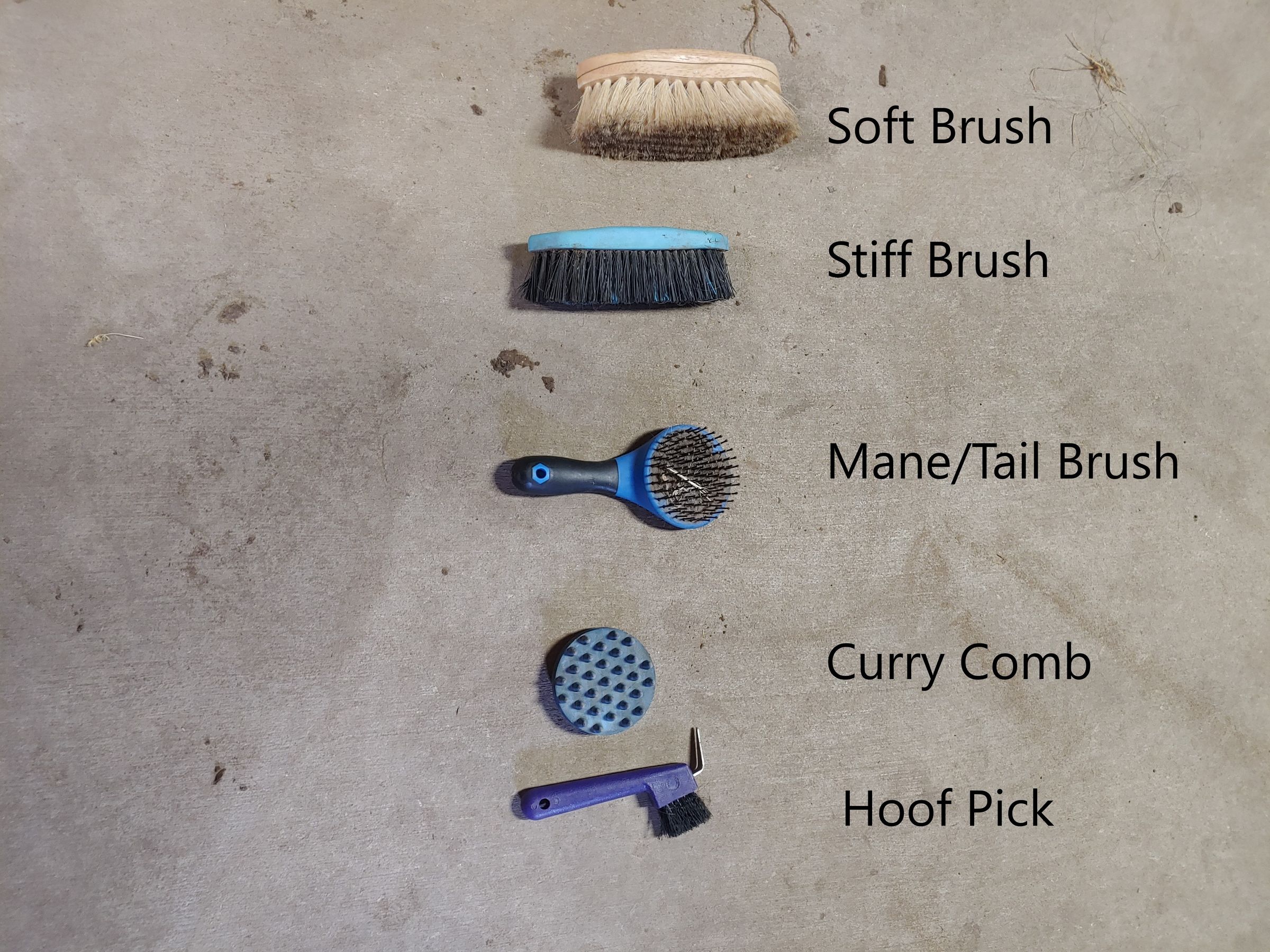 How to Groom a Horse Before Riding 5 Steps (with Pictures