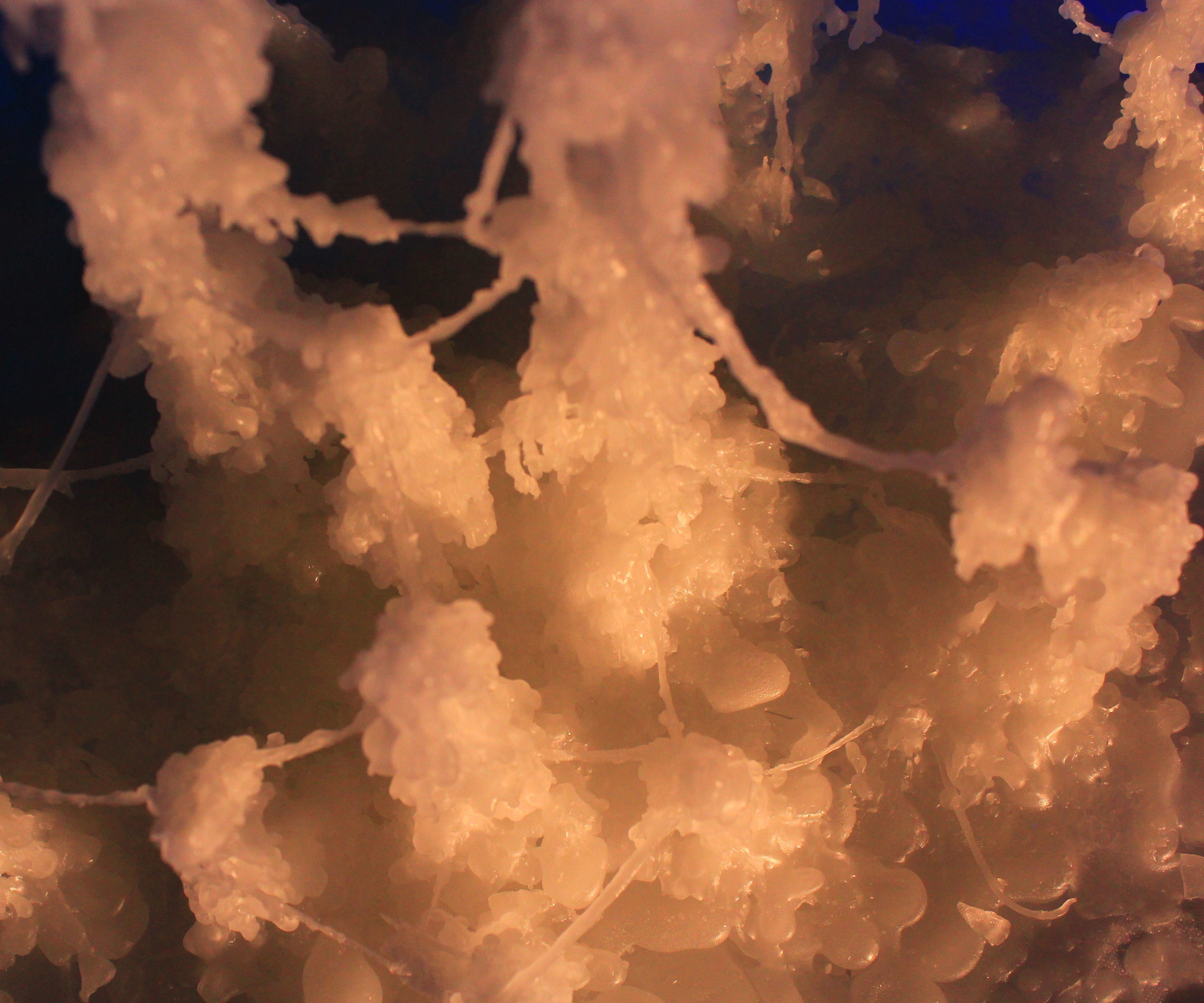 SBDD (String Bot Drop Deposition)