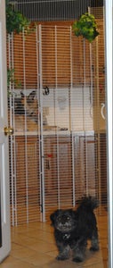 Kennel Enclosure: Wire Closet Shelving & Cable Ties in Minutes, Flexible, Movable, Removable