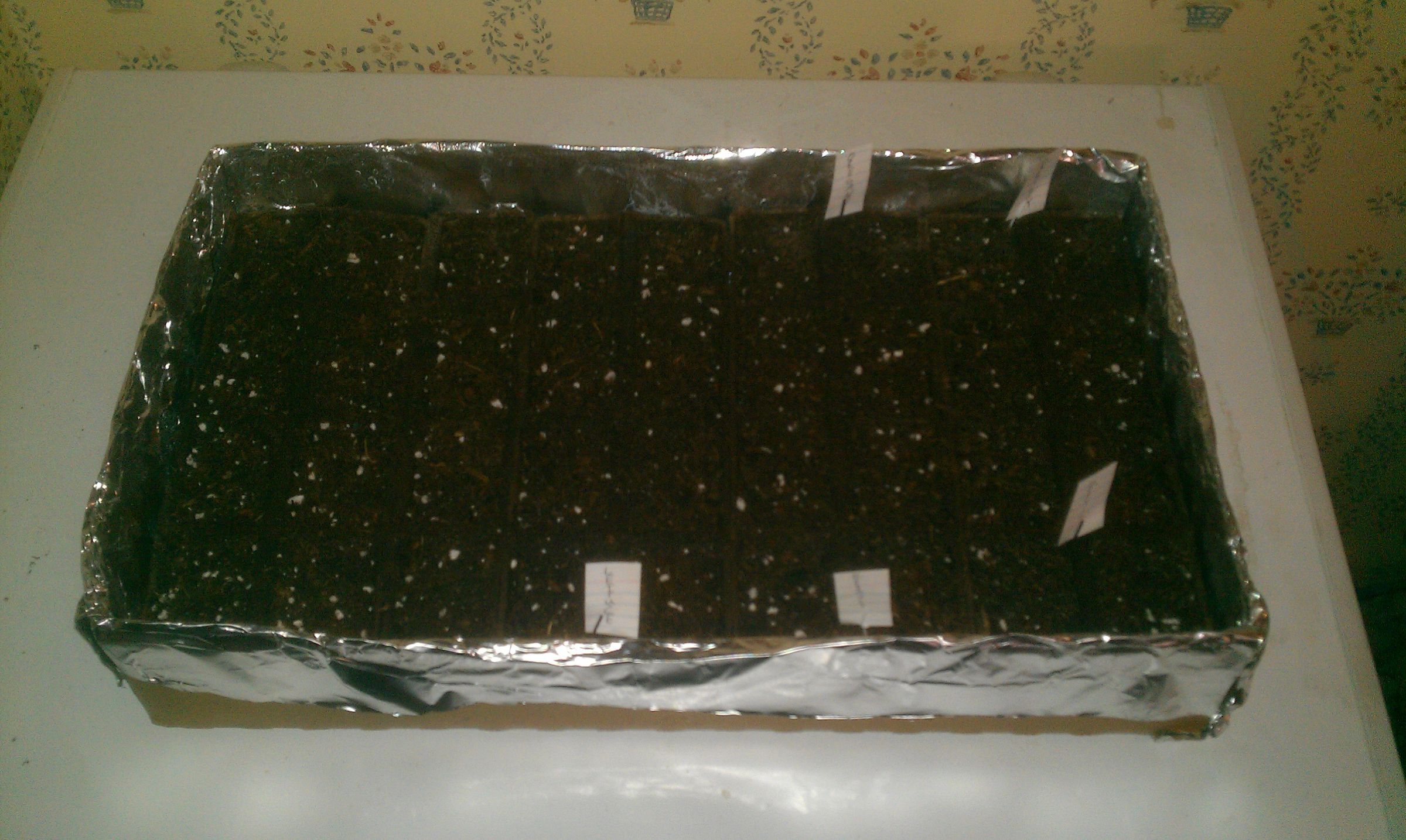 Home Made Seed Starter